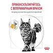 Сухой корм Royal Canin URINARY S/O MODERATE CALORIE (УРИНАРИ С/О МОДЕРЕЙТ КЭЛОРИ) 7 кг